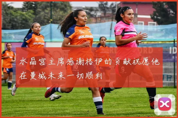 水晶宫主席感谢格伊的贡献祝愿他在曼城未来一切顺利